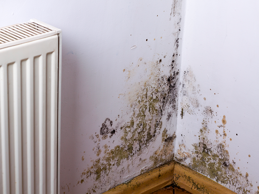 vice cach&eacute; maison infiltration d'eau dans l'Oise 